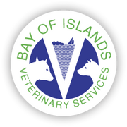 Bay Of Islands Veterinary Services Kerikeri