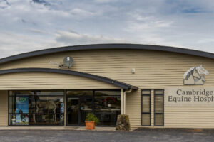 Cambridge Equine Hospital