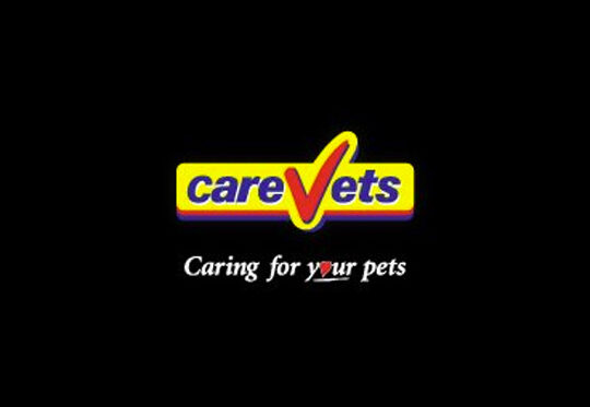 CareVets Napier 1 carevets napier