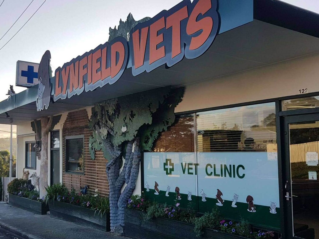 Lynfield Vets 1 lynfield vets