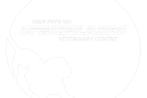 Springlands Veterinary Centre
