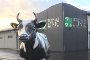 Veterinary in Morrinsville, New Zealand
