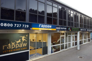 Veterinary in Porirua, New Zealand