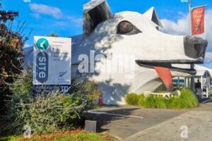 Veterinary in Tirau, New Zealand